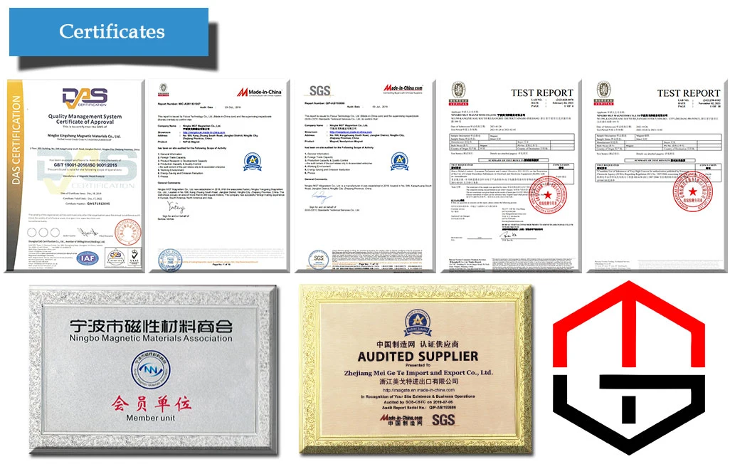 OEM Rare Earth Permanent Neo Magnet for Button Types